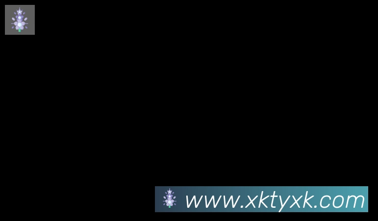 XK体育合作伙伴